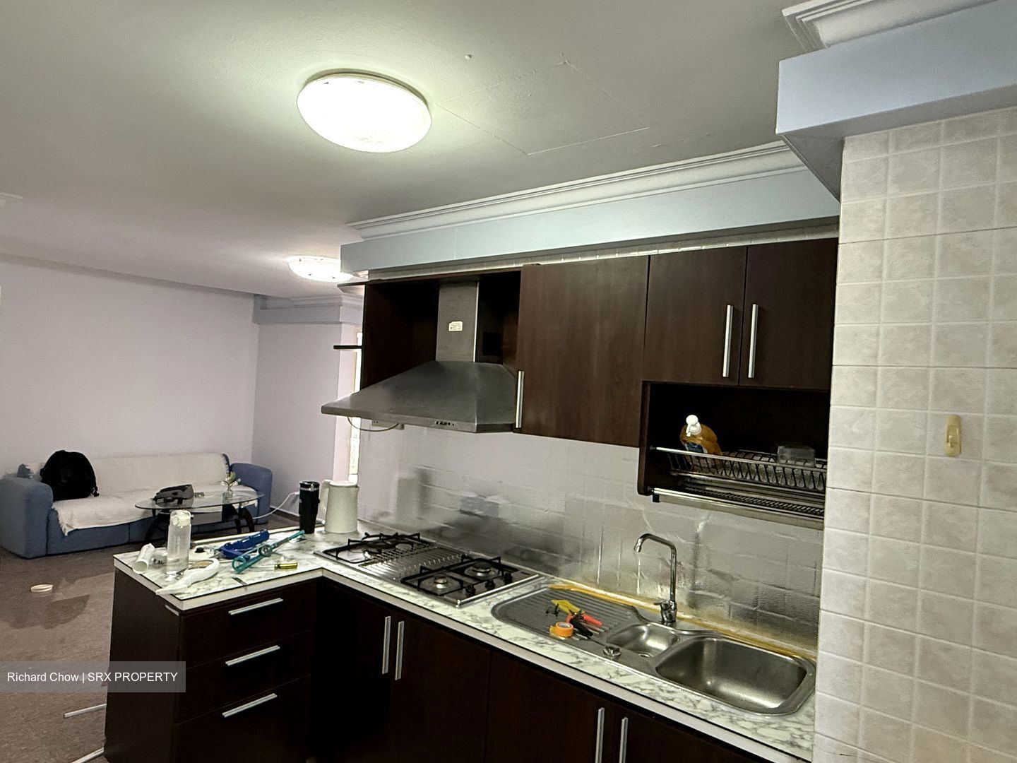 Birmingham Mansions (D11), Apartment #495676691